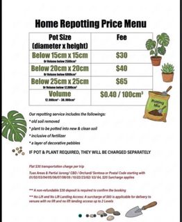 (Category: ) located in . Submitted by homegardener (Listing ID 1444203405, Image 1). Description: .