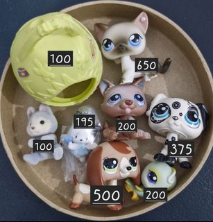 (Category: ) located in . Submitted by mochacchi (Listing ID 1444242073, Image 1). Description: .