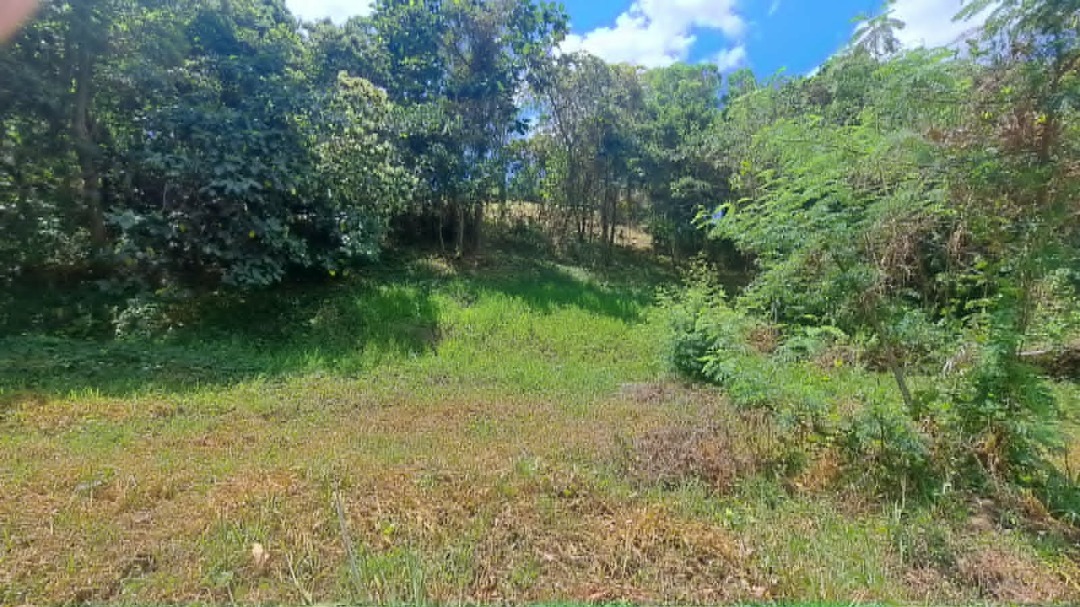 (Category: ) located in . Submitted by southwoods.properties (Listing ID 1444205403, Image 1). Description: .