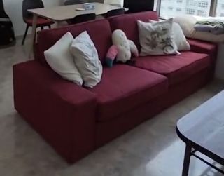 (Category: ) located in . Submitted by wendycel (Listing ID 1444172639, Image 1). Description: .