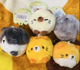 (Category: ) located in . Submitted by saveseek-hestiya (Listing ID 1444276504, Image 1). Description: .