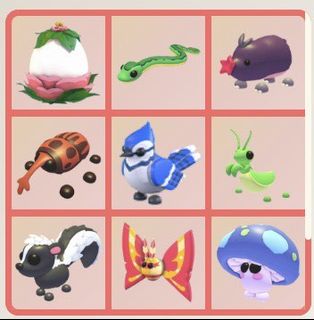 (Category: ) located in . Submitted by quackythaduck (Listing ID 1444385714, Image 1). Description: .