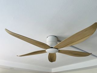 (Category: ) located in . Submitted by hsohpt (Listing ID 1444351795, Image 1). Description: .