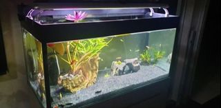 (Category: ) located in . Submitted by kittybunny (Listing ID 1444493894, Image 1). Description: .