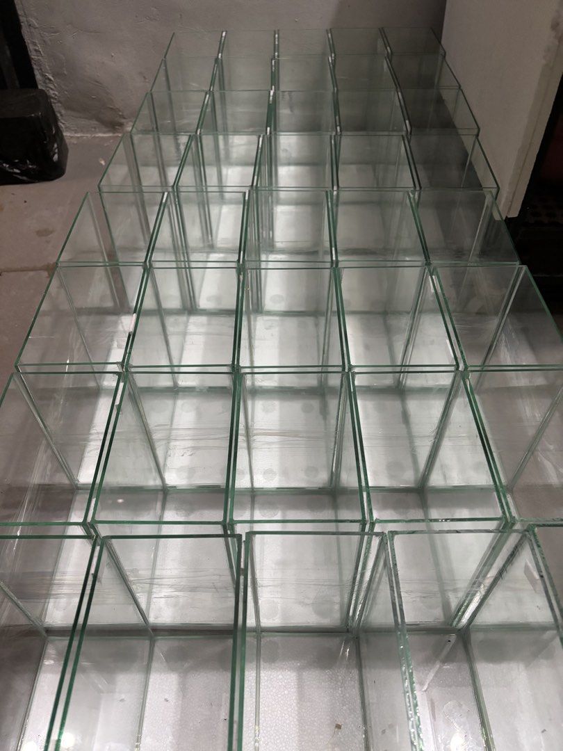 Glass Aquarium Tanks for Fish or Betta (Category: Homes & Other Pet Accessories) located in Manila. Submitted by namartiriv06966 (Listing ID 1444311178, Image 2). Description: - Set of small, individual glass aquarium tanks. - Ideal for betta fish and other small aquatic pets. - Stackable design for versatile arrangements. - Made of clear glass with a clean white base. - Perfect for creating a beautiful aquarium display..
