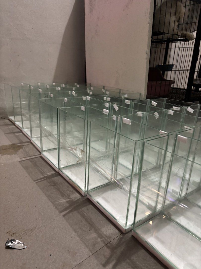 Glass Aquarium Tanks for Fish or Betta (Category: Homes & Other Pet Accessories) located in Manila. Submitted by namartiriv06966 (Listing ID 1444311178, Image 3). Description: - Set of small, individual glass aquarium tanks. - Ideal for betta fish and other small aquatic pets. - Stackable design for versatile arrangements. - Made of clear glass with a clean white base. - Perfect for creating a beautiful aquarium display..