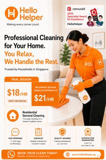 Home Cleaning Services Collection item 3