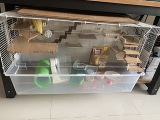 (Category: ) located in . Submitted by boonsdg (Listing ID 1444377091, Image 1). Description: .