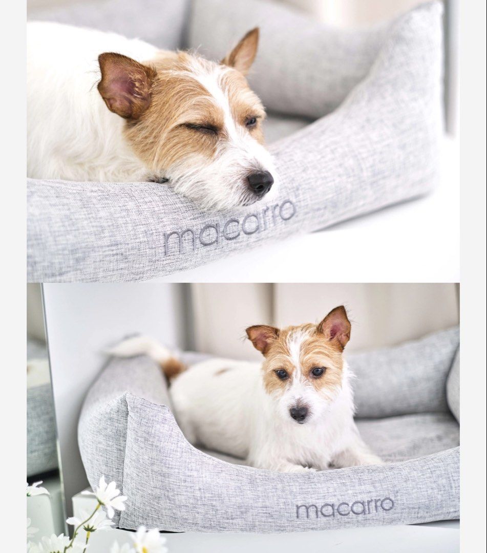 ❤️台灣Macarro 狗用 床套 綿麻布 中碼一套 Glacier Gray Bed Cover M Size for Pet / Dog (⚠️不包括床芯）寵物用 （分類：寵物家品及其他）位於 Hong Kong。 由 milomilomilomilo 提交（商品編號 1444377179，圖片 3）。簡介： ❤️Whiskers & Paws買 ❤️原價大約HK$400 ❤️淨床套1 set (床套+ cushion套) ⚠️不包括床芯 ❤️Color : 冰川灰 ❤️中碼 ⚠️只用過兩日，已機洗，冇污糟，有狗味，完美主義者勿考慮 🙇🏻‍♂️面交只限西灣河 (時間彈性) 或 順豐到付 🙇🏻‍♂️Trade at Sai Wan Ho (flexible with time) or SF express (buyer’s expense) http://carousell.com/u/milomilomilomilo 100% authentic 🌻Happy Shoppi