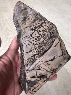 (Category: ) located in . Submitted by ornamental_rocks (Listing ID 1444344038, Image 1). Description: .
