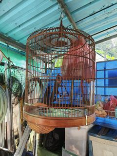 (Category: ) located in . Submitted by alibaba. (Listing ID 1444418078, Image 1). Description: .
