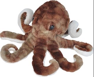 (Category: ) located in . Submitted by homebestestdeal (Listing ID 1444480558, Image 1). Description: .