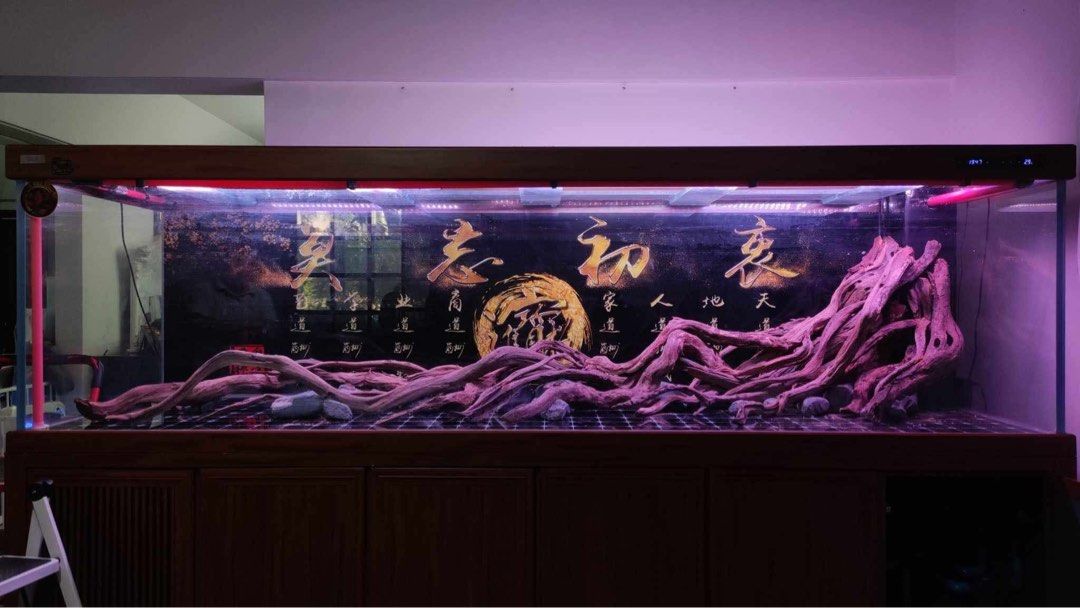 500 GALLONS AQUARIUM TANK (Category: Homes & Other Pet Accessories) located in San Mateo. Submitted by c.shop.boutique (Listing ID 1444673646, Image 2). Description: PM FOR DETAILS FOR TAKE ALL.