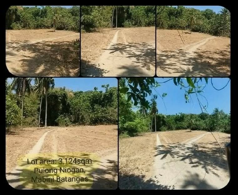 Agri Lot For sale (Category: Lot) located in Bulacan. Submitted by mhatot05 (Listing ID 1444654684, Image 3). Description: ✅agricultural land near provincial road and to the city. ✅located at Pulong Niyogan Mabini Batangas ✅total lot is 1.2has, but you can buy it per title depends on its size indicated at the picture attached. ✅6, 000 peso per Sqm Negotiable ✅direct buyers only..