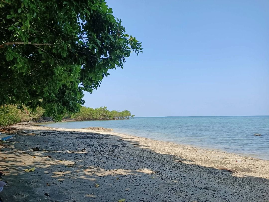 Beach Front Lot Unisan Quezon (Category: Lot) located in Mandaluyong City. Submitted by reichell_camprealty (Listing ID 1444523270, Image 2). Description: Beach Front Unisan Quezon -600 meters of water frontage -clean title -updated tax dec & real property tax -3k per sqm -negotiable -cash or bank is okay -seller will take care of the transfer fee and notary 🌊 UNISAN, QUEZON: ✅12 hectares of prime elevated land with ~600 meters of water frontage