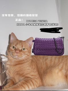 由 busyu (刊登 ID 1342787461，圖片 1) 提交，位於 的 (類別：)，說明：。