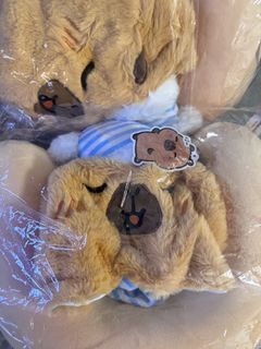 （分類：）位於 。 由 hkppppp01 提交（商品編號 1444556519，圖片 1）。簡介： 。