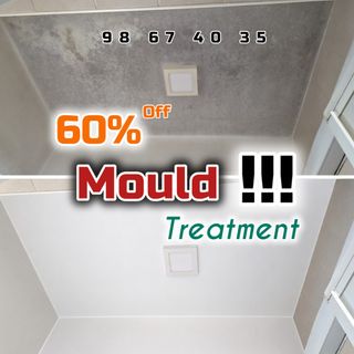Mould Treatment  Collection item 3