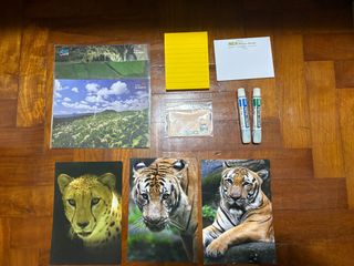 (Category: ) located in . Submitted by closetclearoutsg (Listing ID 1444650123, Image 1). Description: .