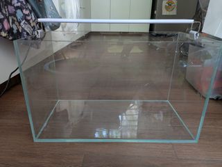 (Category: ) located in . Submitted by longlonglife (Listing ID 1444542089, Image 1). Description: .