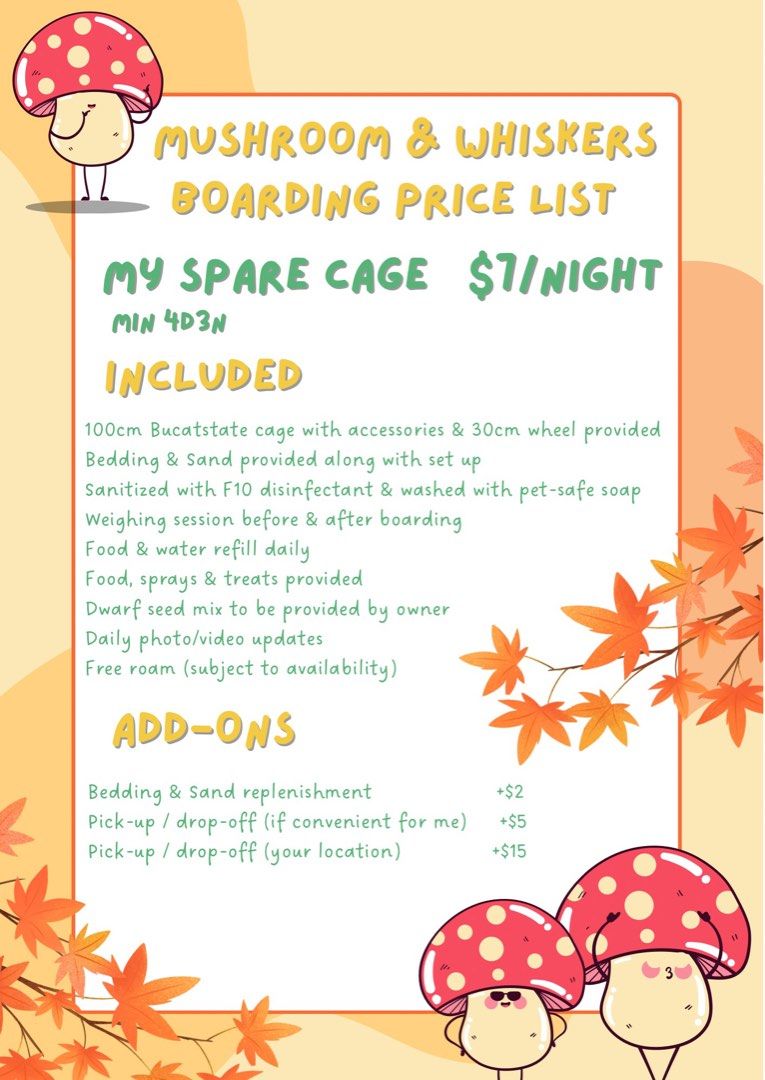 [PROMO] Hamster Boarding in Buangkok/Hougang (Northeast) (Category: Pet Care Services) located in Singapore. Submitted by mushroomandwhiskers (Listing ID 1430493321, Image 3). Description: 🇸🇬 July & August Special: 9% off your total bill! (Valid for stays in July & August 2026) Hi! I'm located in the Buangkok/Hougang area with a soft spot for Syrian hamsters. I’m also an active fosterer at Little Hammy Rescue SG! My own personal hammies are in 