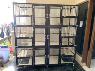 (Kategori: ) berada di . Dikirim oleh ble2store (ID iklan 1444500819, Gambar 1). Deskripsi: .