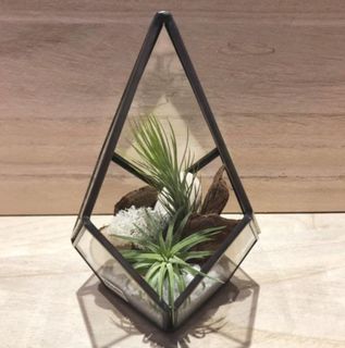 (Category: ) located in . Submitted by lushglassdoor (Listing ID 1444579811, Image 1). Description: .