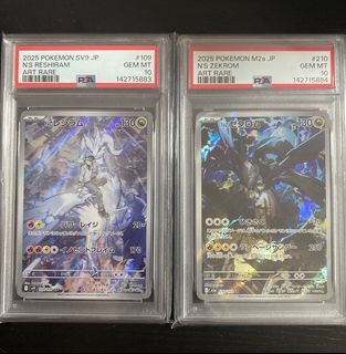 PSA Japanese Slabs Collection item 1