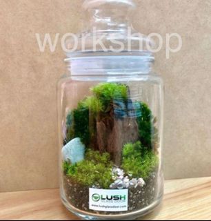 (Category: ) located in . Submitted by lushglassdoor (Listing ID 1444580268, Image 1). Description: .