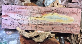 (Category: ) located in . Submitted by earthandtimber (Listing ID 1444508758, Image 1). Description: .