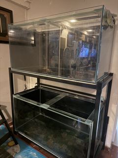 (Category: ) located in . Submitted by youngfish.30a430 (Listing ID 1444804230, Image 1). Description: .