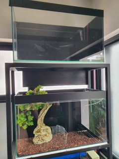 (Category: ) located in . Submitted by anchorsh (Listing ID 1444712324, Image 1). Description: .