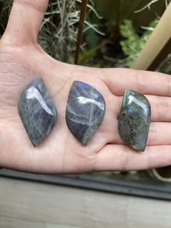 (Category: ) located in . Submitted by crystal_gem_world (Listing ID 1444690226, Image 1). Description: .