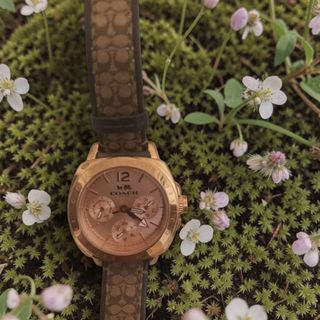 (Category: ) located in . Submitted by royalflower.819fd4 (Listing ID 1444765674, Image 1). Description: .