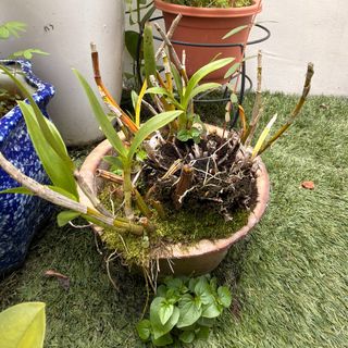(Category: ) located in . Submitted by gly_wilkinson (Listing ID 1444763492, Image 1). Description: .