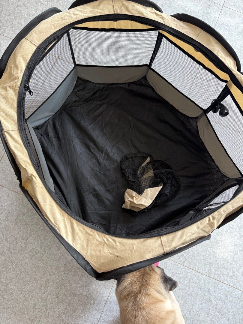 dog/cat indoor/outdoor cage (Category: Homes & Other Pet Accessories) located in San Juan, La Union. Submitted by prickleberry.ph (Listing ID 1444767757, Image 2). Description: 10/10 pet cage size: 80x50 fits small to medium dogs .