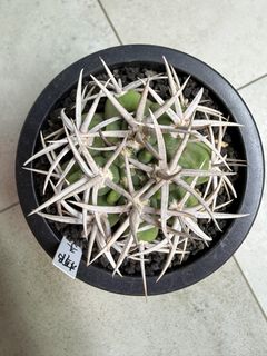 (Category: ) located in . Submitted by where2find (Listing ID 1444815209, Image 1). Description: .