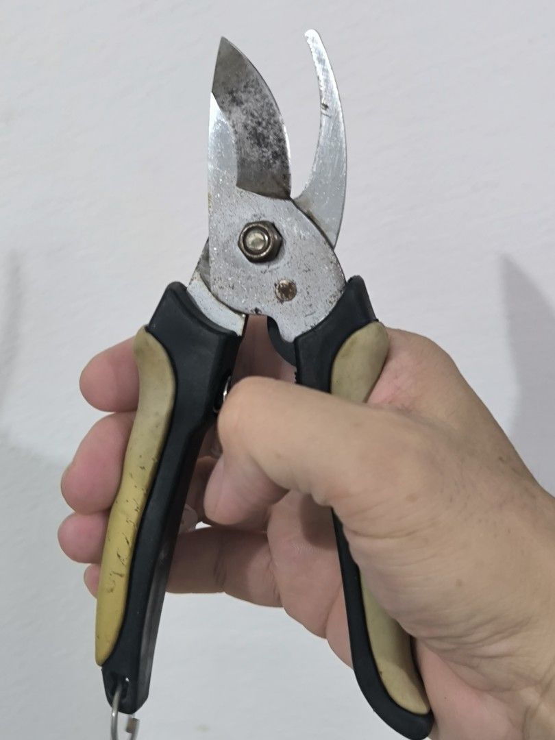 Japan Pruning Shears Garden Tool (Category: Gardening Tools & Ornaments) located in Angeles City. Submitted by yellowbrickstore (Listing ID 1444807233, Image 2). Description: - Heavy duty pruning shears - Ideal for gardening and trimming branches - Sharp, ready-to-use blades - Comfortable grip handles - Fully functional and works great shipping via jnt express Saturday sked only Friday cut off pick up AC lnw Pampanga gcash Gotyme payment first pa