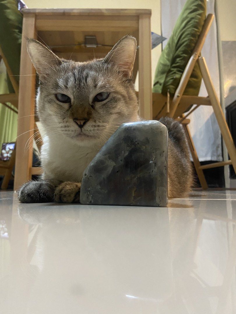 Labradorite (huge) (Category: Everything Else Others) located in Quezon City. Submitted by thriftjunks (Listing ID 1444681793, Image 2). Description: Labradorite Benefits (Spiritual Beliefs) ✨ • Believed to enhance intuition and inner wisdom • Associated with protection from negative energy • Thought to support personal growth and transformation • Linked to creativity, confidence, and self-discovery • Often used for meditation and emotional balan