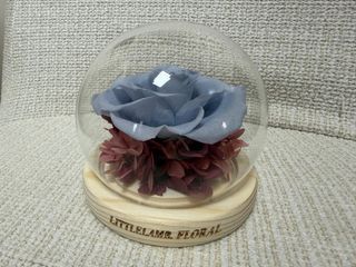 （分類：）位於 。 由 kaman0804 提交（商品編號 1444709742，圖片 1）。簡介： 。