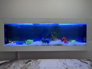 (Category: ) located in . Submitted by rd2525 (Listing ID 1444733925, Image 1). Description: .