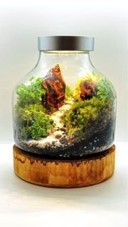 (Category: ) located in . Submitted by green_canopy_ideas (Listing ID 1444711186, Image 1). Description: .