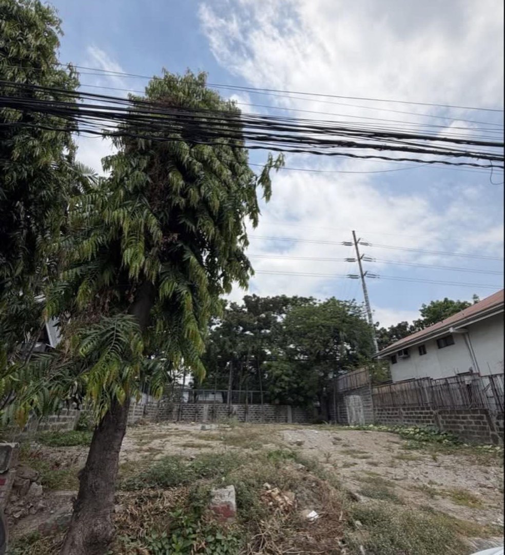 (Category: ) located in . Submitted by brokerhanstaneo_09178038728 (Listing ID 1397359380, Image 1). Description: .