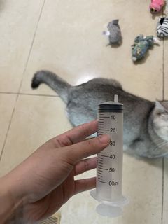 （分類：）位於 。 由 blurry_cat_orange 提交（商品編號 1441480103，圖片 1）。簡介： 。