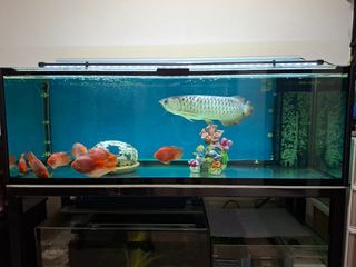 (Category: ) located in . Submitted by 18ray (Listing ID 1441288370, Image 1). Description: .
