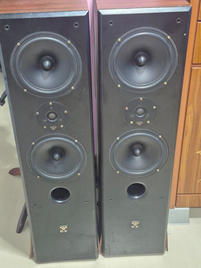 C.V. E-828 2 Way Speakers473051467361832960