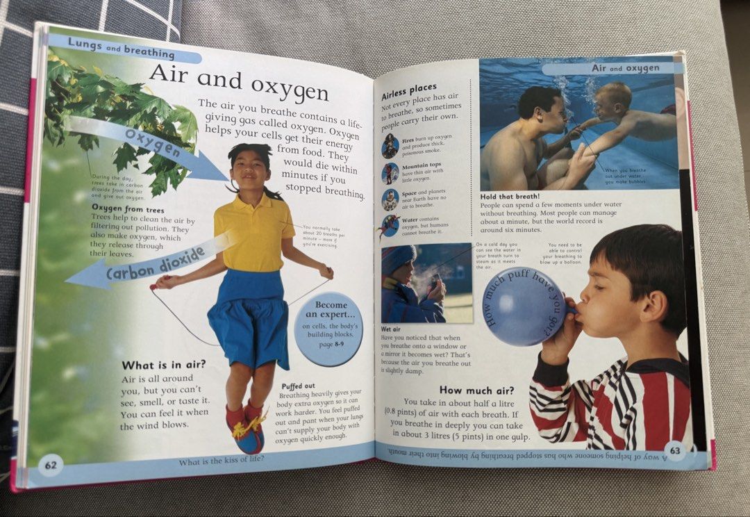 Encyclopedia (Category: Children's Books) located in Singapore. Submitted by labbitpj (Listing ID 1441398613, Image 2). Description: - Two engaging children's books for young readers. - DK's Human Body Encyclopedia: Packed with facts & illustrations $10 - 5000 Fantastic Facts: Covers a wide range of topics $20 - Ideal for curious minds eager to learn..