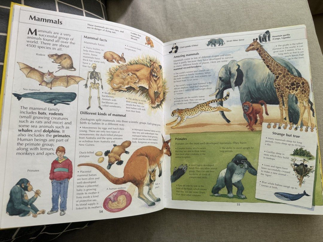 Encyclopedia (Category: Children's Books) located in Singapore. Submitted by labbitpj (Listing ID 1441398613, Image 8). Description: - Two engaging children's books for young readers. - DK's Human Body Encyclopedia: Packed with facts & illustrations $10 - 5000 Fantastic Facts: Covers a wide range of topics $20 - Ideal for curious minds eager to learn..