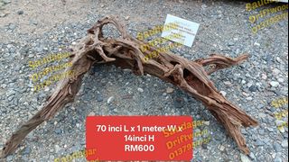 (Category: ) located in . Submitted by driftwood_hiasan (Listing ID 1441584541, Image 1). Description: .