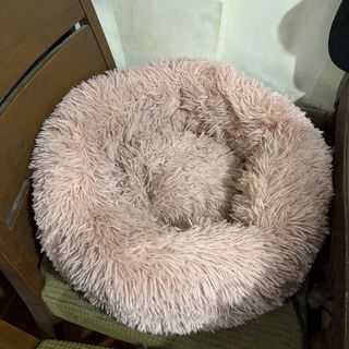 (Category: ) located in . Submitted by _poknat (Listing ID 1441496585, Image 1). Description: .